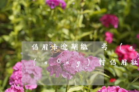 信用卡逾期能報考農(nóng)信社嗎(農(nóng)村信用社信用卡逾期受限制了怎么辦)