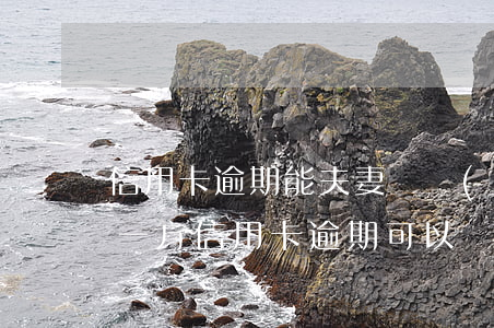 信用卡逾期能夫妻債務(wù)重組(夫妻有一方信用卡逾期可以買房子嗎)