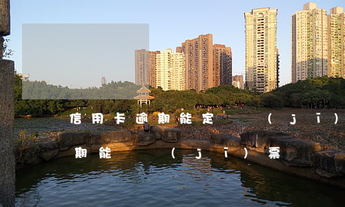 信用卡逾期能定飛機(jī)票嗎(信用卡逾期能訂機(jī)票嗎)