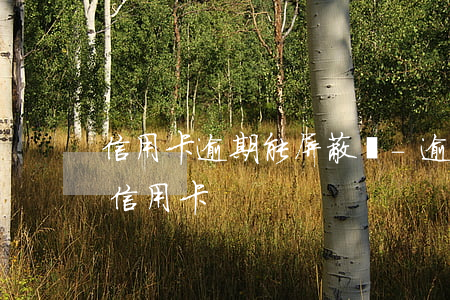 信用卡逾期能屏蔽嗎-逾期凍結(jié)信用卡