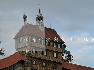 信用卡逾期能带还账吗(逾期的信用卡怎么还款)