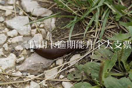 信用卡逾期能开个人支票吗