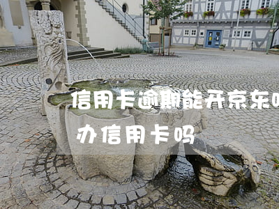 信用卡逾期能开京东吗(京东花呗逾期了,可以办信用卡吗?)