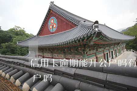 信用卡逾期能开公户吗 有逾期可以开对公账户吗