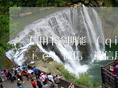 信用卡逾期能強(qiáng)制凍結(jié)微信嗎(被信用卡起訴多久凍結(jié)微信)