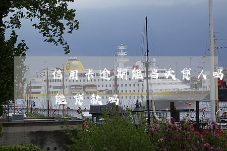 信用卡逾期能当次贷人吗-有信用卡逾期还能贷款吗