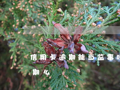 信用卡逾期能当监事吗 银监会处理信用卡逾期么