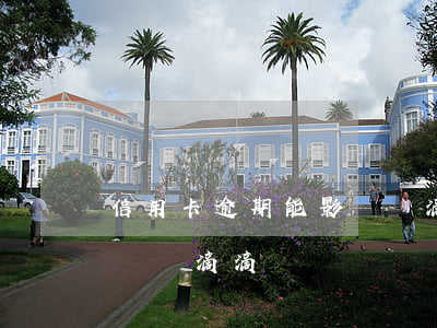 信用卡逾期能影響開滴滴嗎(信用卡逾期能影響開滴滴嗎)