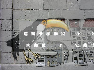 信用卡逾期能從小貸公司借到錢嗎-信用卡逾期能從小貸公司借到錢嗎安全嗎