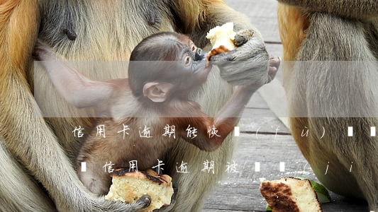 信用卡逾期能恢復(fù)凍結(jié)嗎(信用卡逾期被凍結(jié)后,什么時(shí)候可以解除)