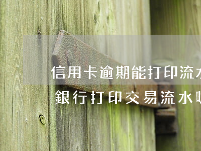 信用卡逾期能打印流水嗎(信用卡賬單可以去銀行打印交易流水嗎)