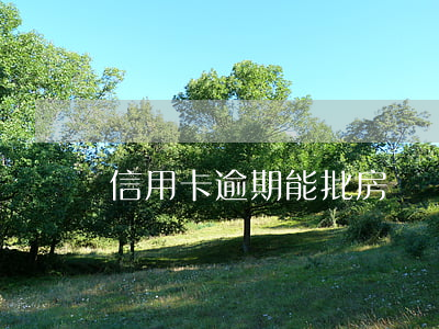 信用卡逾期能批房貸嗎(信用卡逾期能批房貸嗎)
