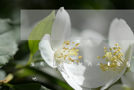 信用卡逾期能找人嗎(信用卡逾期能找人嗎貼吧)