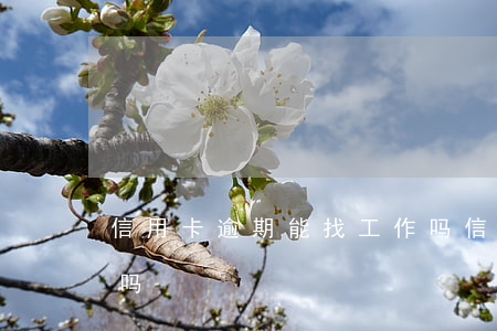 信用卡逾期能找工作吗(信用卡逾期会找公司吗)