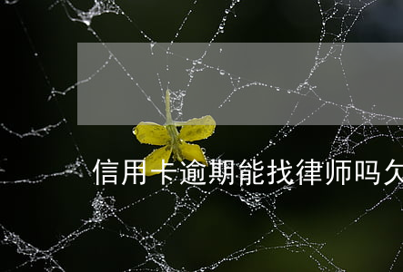 信用卡逾期能找律师吗(欠信用卡如何找律师)