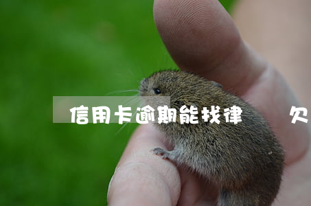 信用卡逾期能找律師嗎(欠信用卡如何找律師)