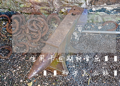 信用卡逾期能拿出來嗎知乎 信用卡逾期能拿出來嗎知乎怎么解決