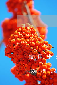 信用卡逾期能提取住房公積金嗎 欠信用卡可以提取住房公積金嗎