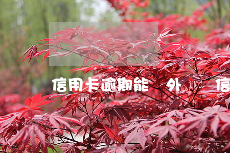 信用卡逾期能換外幣嗎(信用卡怎么還外幣)