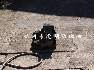信用卡逾期能撤回嗎