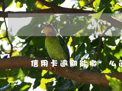 信用卡逾期能撤銷么(逾期后注銷信用卡)
