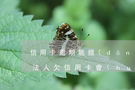 信用卡逾期能擔(dān)任法人股東嗎-法人欠信用卡會(huì)追究公司嗎?