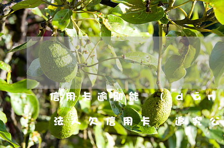 信用卡逾期能擔(dān)任法人股東嗎-法人欠信用卡會追究公司嗎?