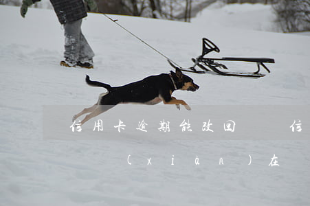 信用卡逾期能改回來嗎(信用卡逾期能改回來嗎現(xiàn)在)