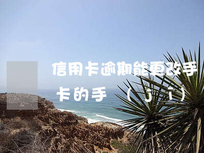 信用卡逾期能更改手機(jī)號碼(改信用卡的手機(jī)號碼客服可以搞定嗎)
