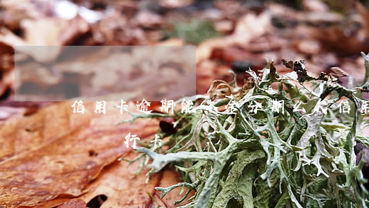 信用卡逾期能本金分期么(欠信用卡逾期可以辦銀行卡嗎)