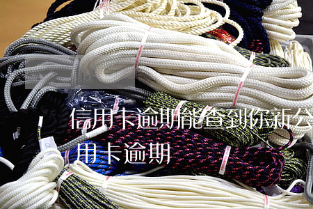 信用卡逾期能查到你新公司嗎(哪里能查到信用卡逾期記錄)