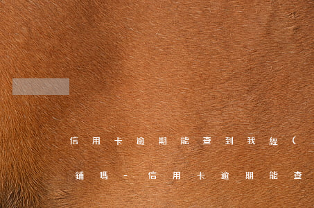 信用卡逾期能查到我經(jīng)營的商鋪嗎-信用卡逾期能查到我經(jīng)營的商鋪嗎怎么辦