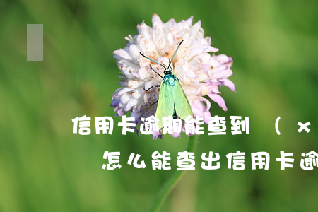 信用卡逾期能查到現(xiàn)在的配偶嗎(怎么能查出信用卡逾期)