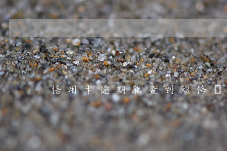 信用卡逾期能查到短信嗎(信用卡逾期哪里查)