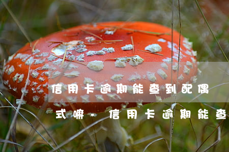 信用卡逾期能查到配偶聯(lián)系方式嘛-信用卡逾期能查到配偶聯(lián)系方式嘛