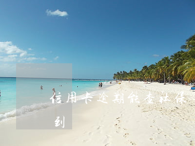 信用卡逾期能查社保嗎(欠信用卡交社保能查到嗎)