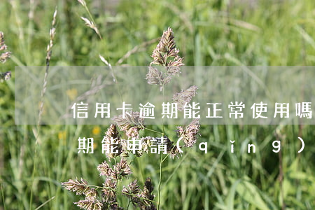 信用卡逾期能正常使用嗎 有過(guò)逾期能申請(qǐng)信用卡嗎