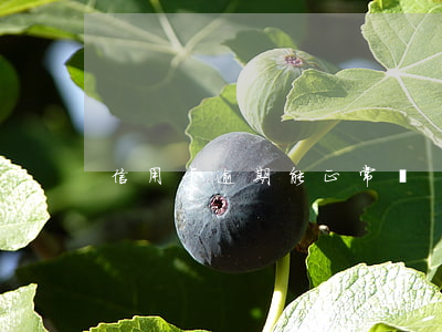 信用卡逾期能正常嗎