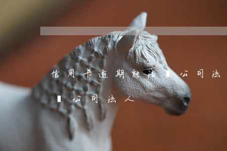 信用卡逾期能注冊公司法人(信用卡逾期能注冊公司法人)