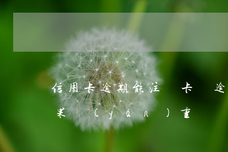 信用卡逾期能注銷卡嗎(逾期后注銷信用卡后果嚴(yán)重)