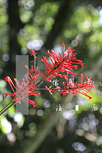 信用卡逾期能注銷卡片嘛(信用卡逾期卡片被注銷后怎么辦)