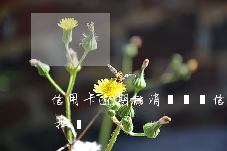 信用卡逾期能消記錄嗎(信用卡逾期記錄會消掉嗎)