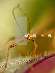 信用卡逾期能激活 信用卡逾期能激活銀行卡嗎