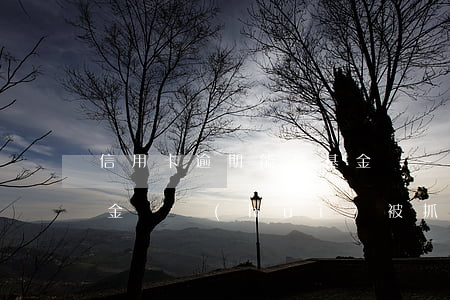 信用卡逾期能炒基金嗎-信用卡逾期能炒基金嗎會(huì)被抓嗎