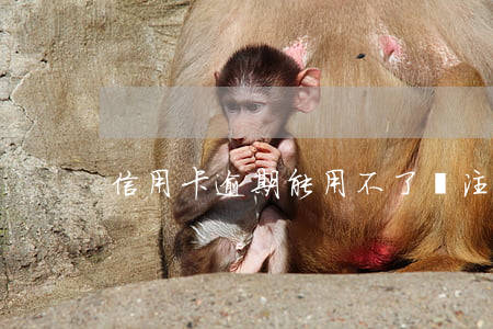 信用卡逾期能用不了(沒注意信用卡逾期了)