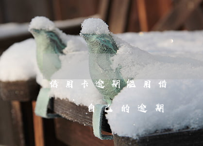 信用卡逾期能用借貸寶嗎(借貸寶逾期了,可以購買自己的逾期債權嗎)