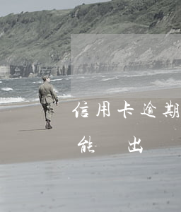 信用卡逾期能用有錢花嗎(信用卡逾期有錢花能貸出來(lái)嗎)