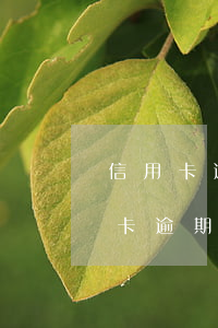 信用卡逾期能用現(xiàn)金嗎(欠信用卡逾期可以辦銀行卡嗎)