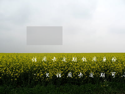 信用卡逾期能用身份證嗎坐飛機(jī)嗎-欠信用卡逾期可以辦身份證嗎