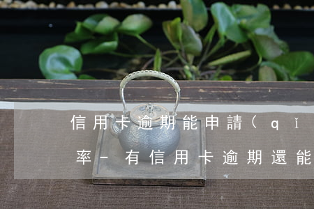 信用卡逾期能申請(qǐng)什么貸款利率-有信用卡逾期還能辦理哪個(gè)貸款